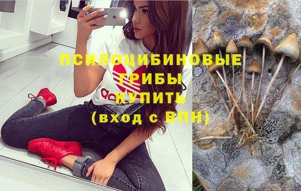 каннабис Приозерск